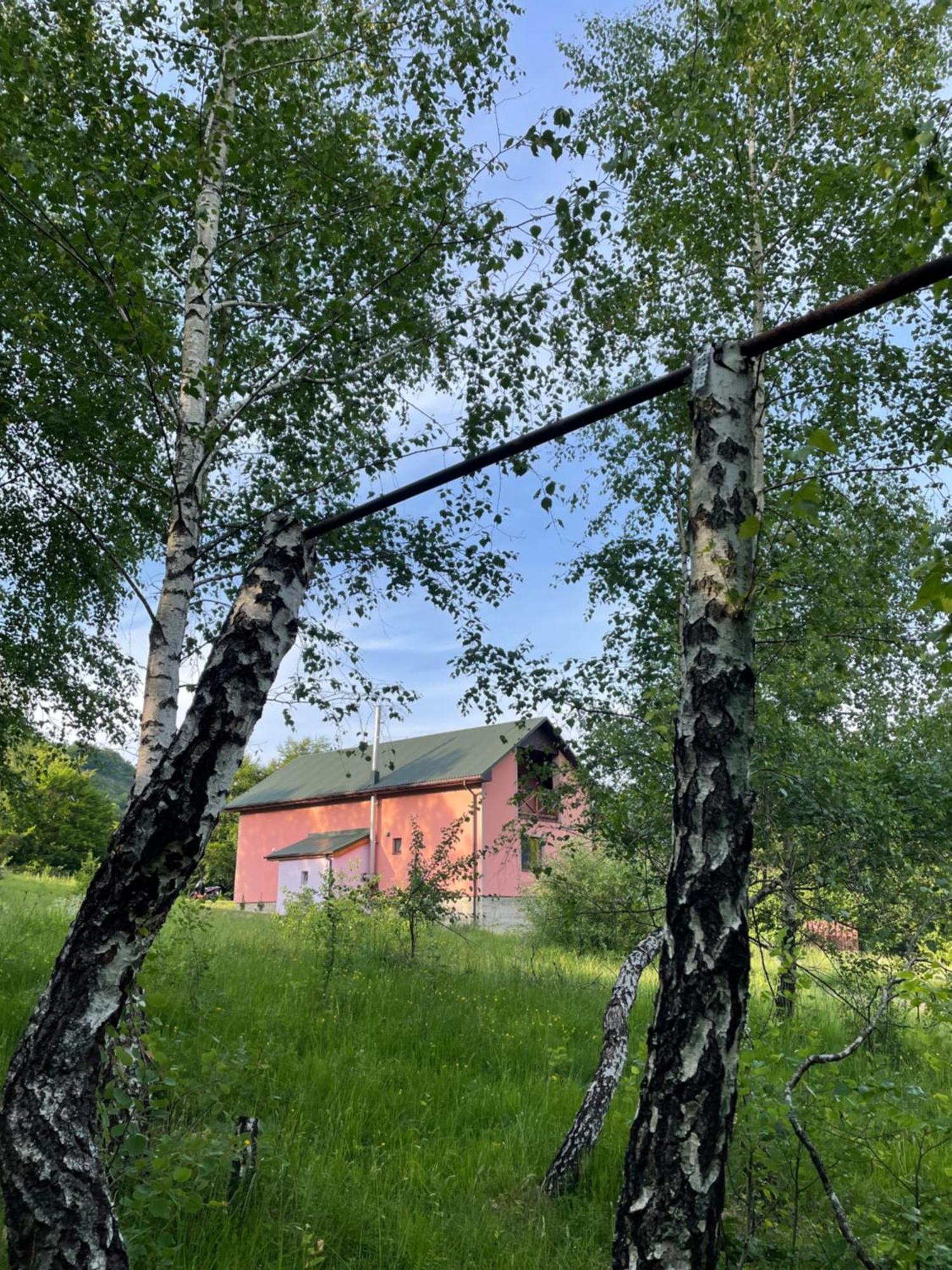 Novoselitsa  Соколів Камінь מראה חיצוני תמונה